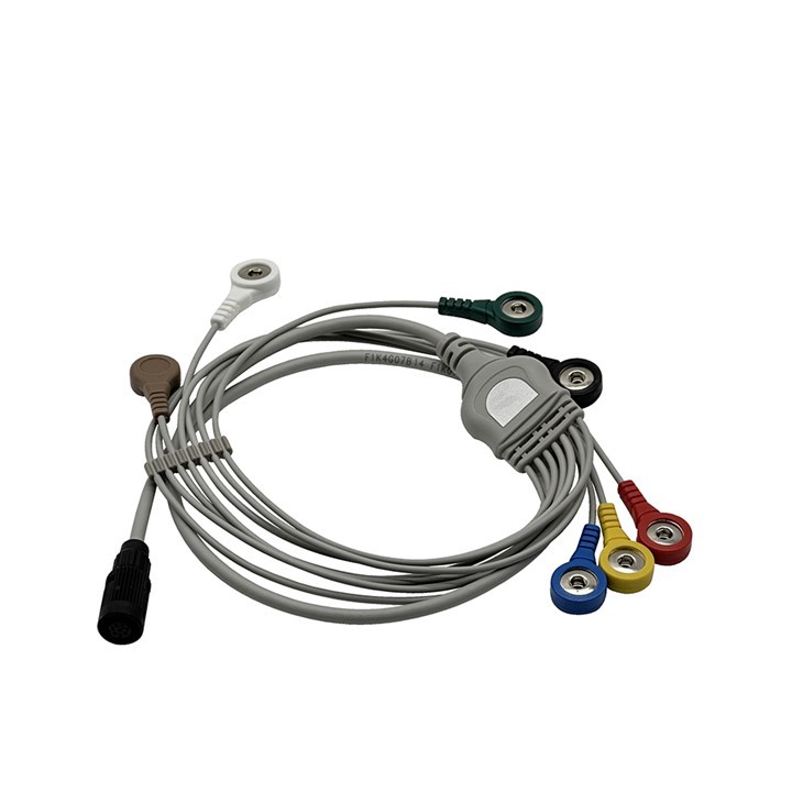 Valenta 8pin Holter ECG Recorder ECG Holter Cable Mn -08